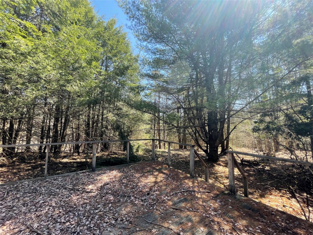 100 Dunbar Road Deposit, NY 13754 - Photo 12 of 12 Gallery Image 12