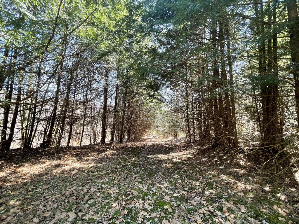 100 Dunbar Road Deposit, NY 13754 - Photo 8 of 12 Gallery Image 8