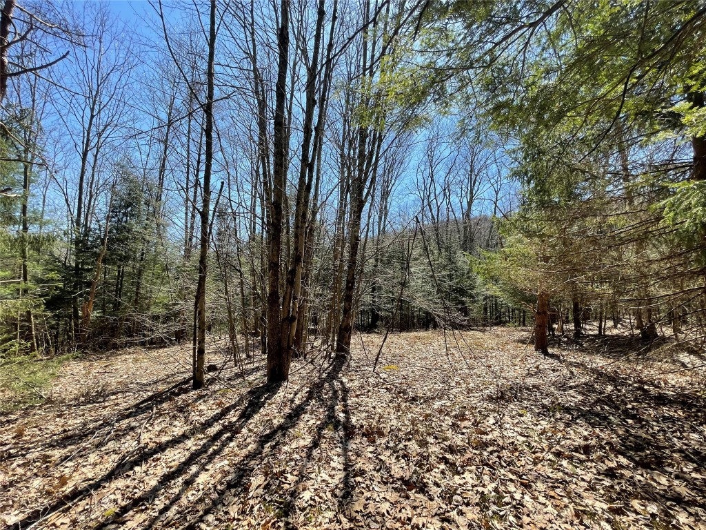100 Dunbar Road Deposit, NY 13754 - Photo 9 of 12 Gallery Image 9