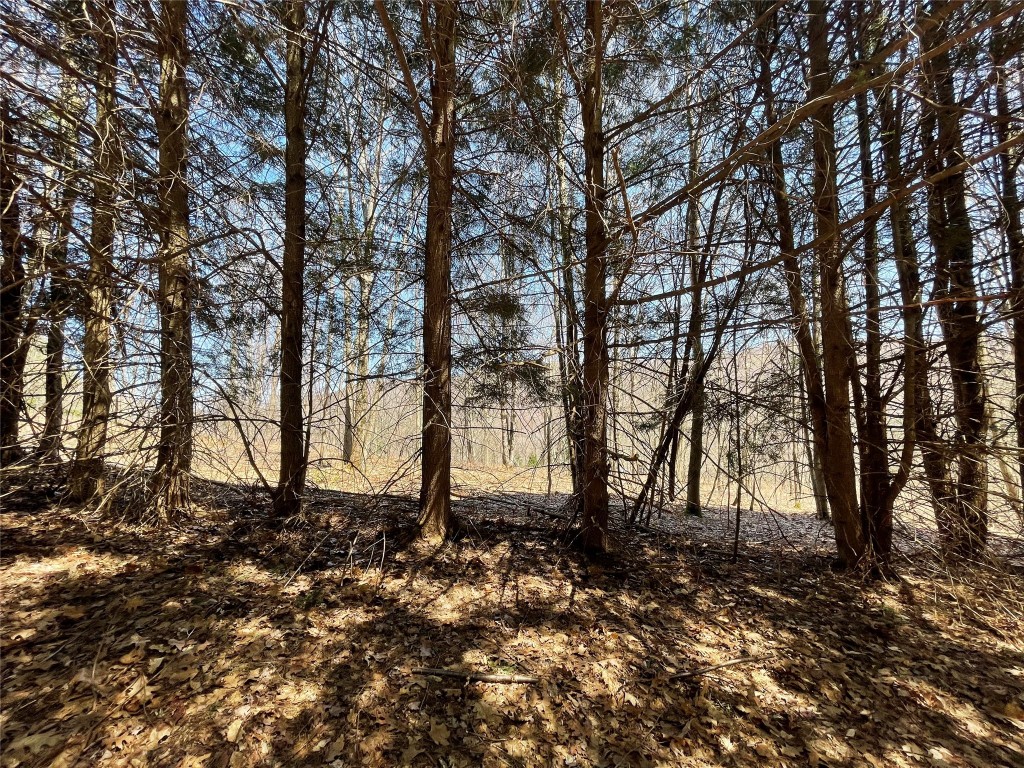 100 Dunbar Road Deposit, NY 13754 - Photo 10 of 12 Gallery Image 10