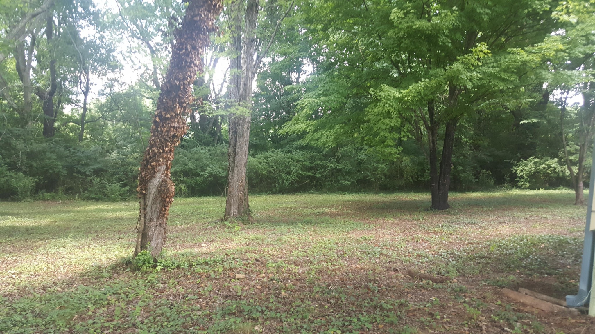 4817 Petersburg Road Knoxville, TN 37921 - Photo 12 of 12 Gallery Image 12