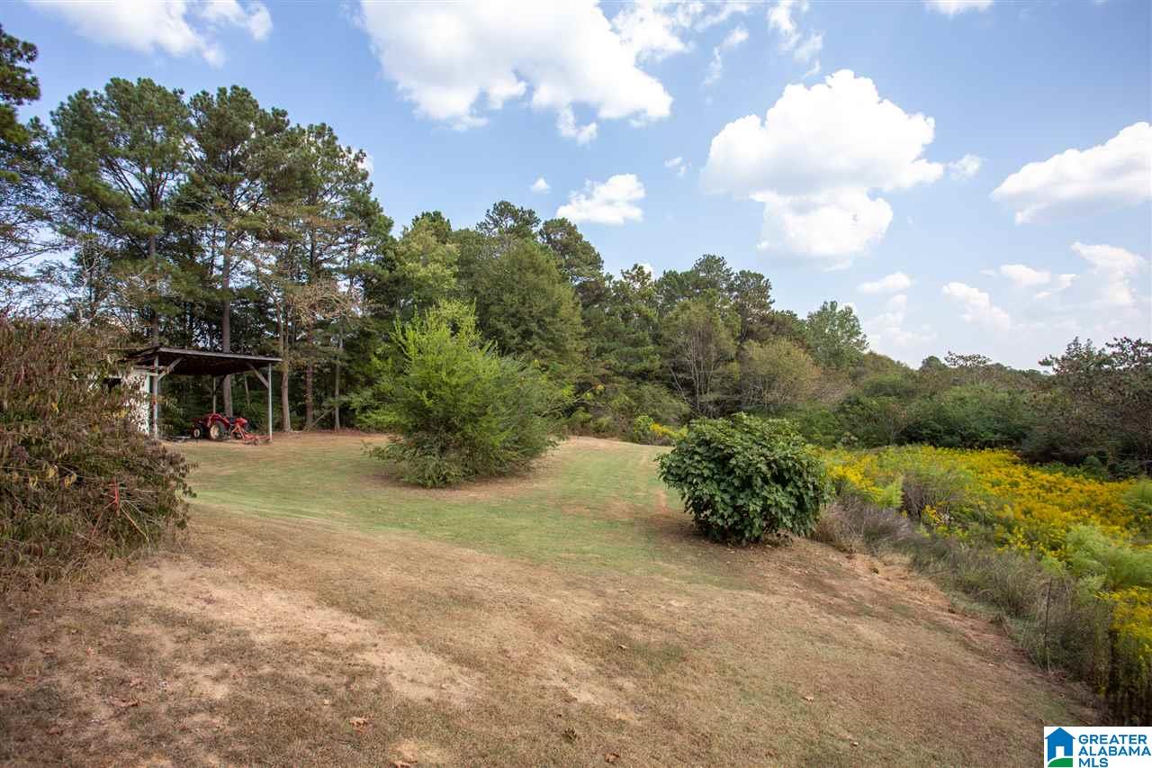 110 Mt Moriah Road Pell City, AL 35125 - Photo 38 of 44