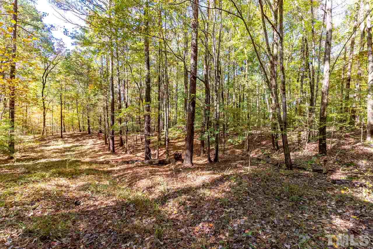 12711 Boyce Mill Road Raleigh, NC 27613 - Photo 4 of 15