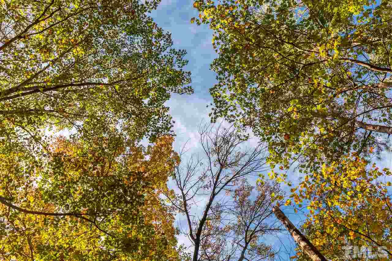 12711 Boyce Mill Road Raleigh, NC 27613 - Photo 6 of 15