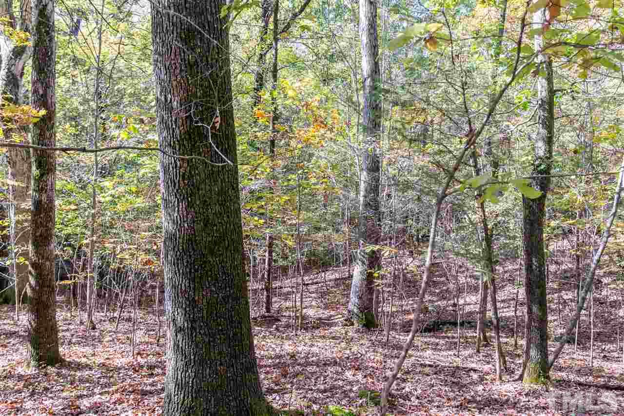12711 Boyce Mill Road Raleigh, NC 27613 - Photo 8 of 15