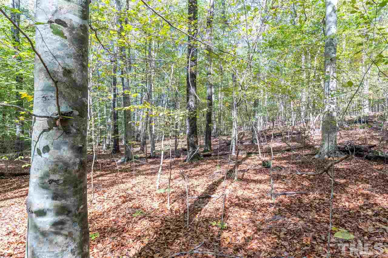 12711 Boyce Mill Road Raleigh, NC 27613 - Photo 9 of 15