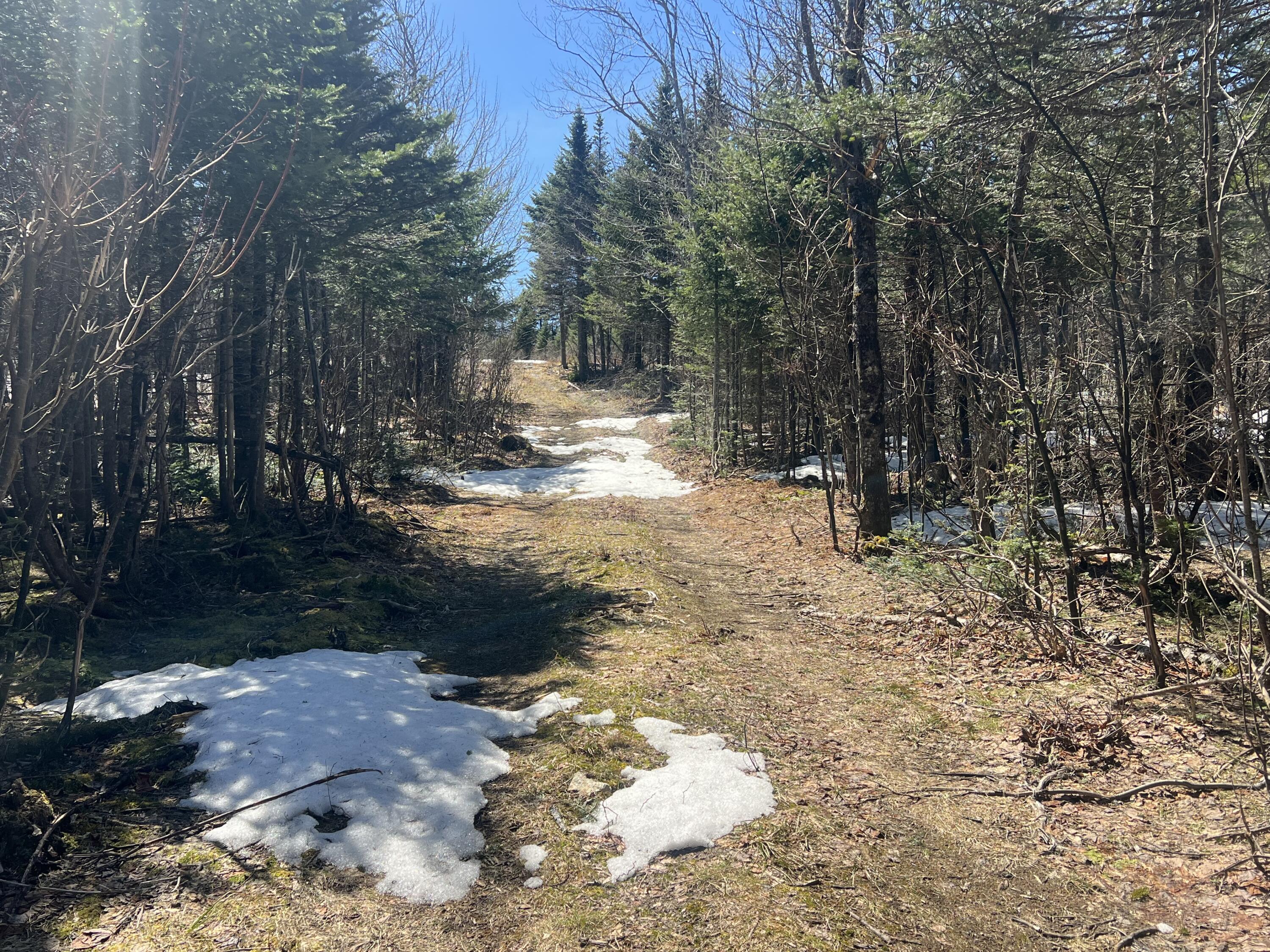 31 Mountain View Road Temple, ME 04984 - Photo 4 of 8 IMG_5474