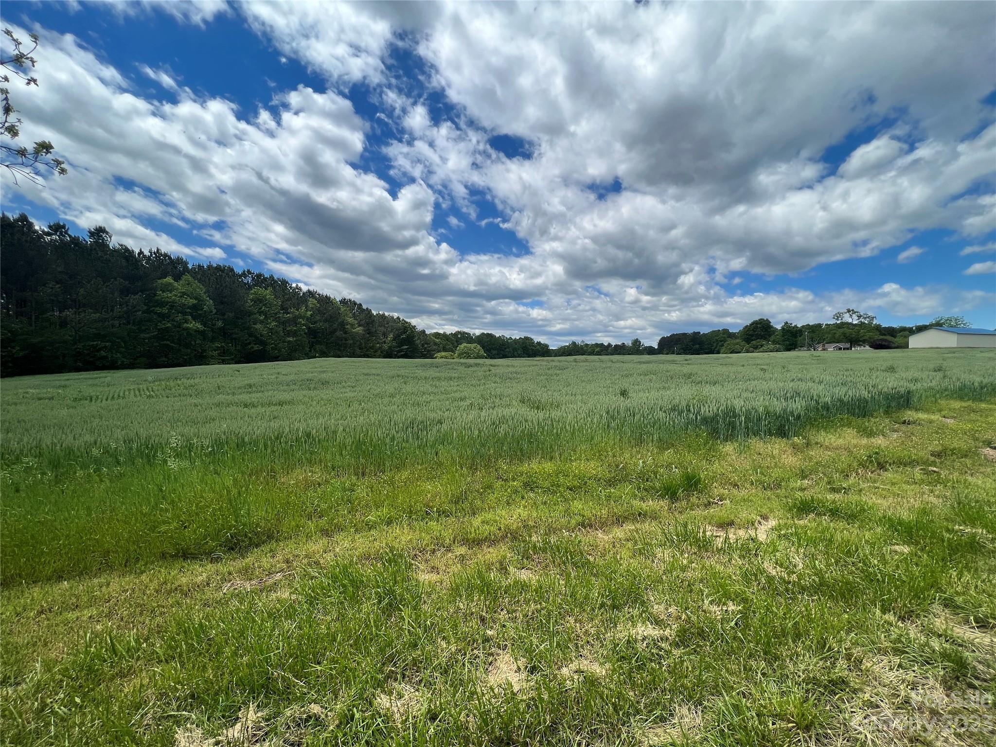 0 Semper Fidelis Road, Unit 4 Olin, NC 28660 - Photo 2 of 3 a view of a big yard with plants and a large tree