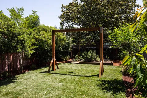 a view of a park with a tree