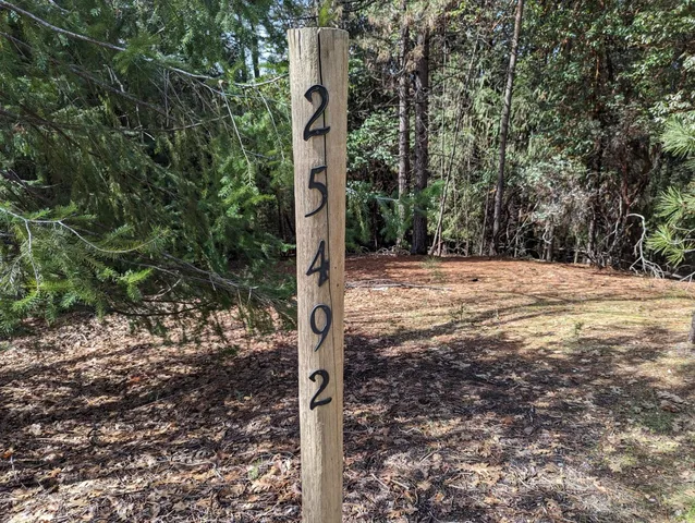 a view of a yard with plants and trees
