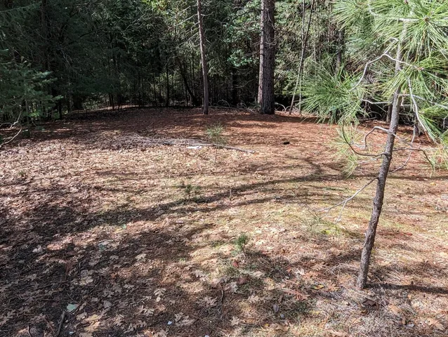 a view of backyard with green space