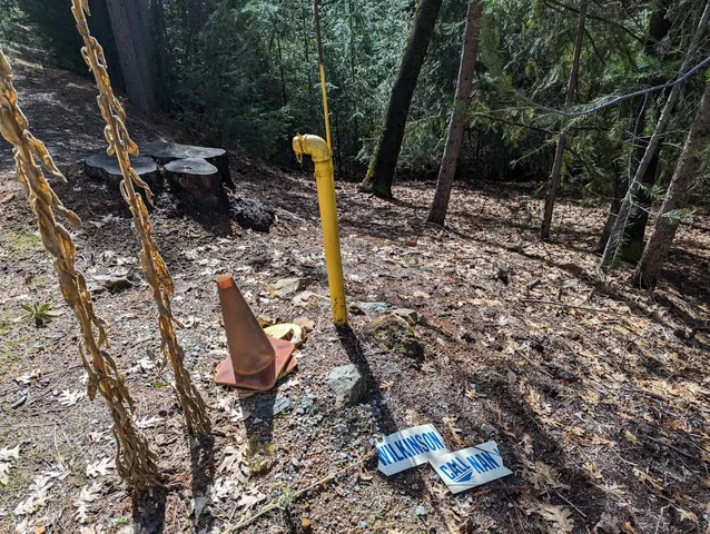 a backyard of a house with lots of green space
