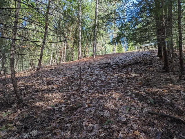 a view of outdoor space and yard