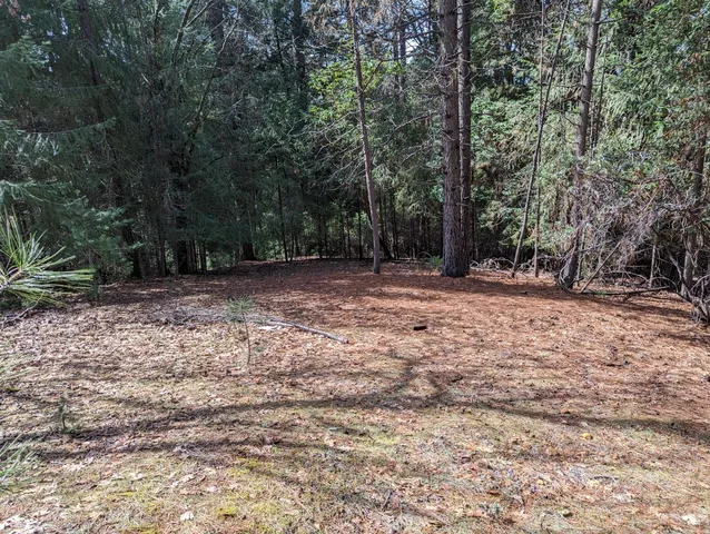 a view of outdoor space with trees