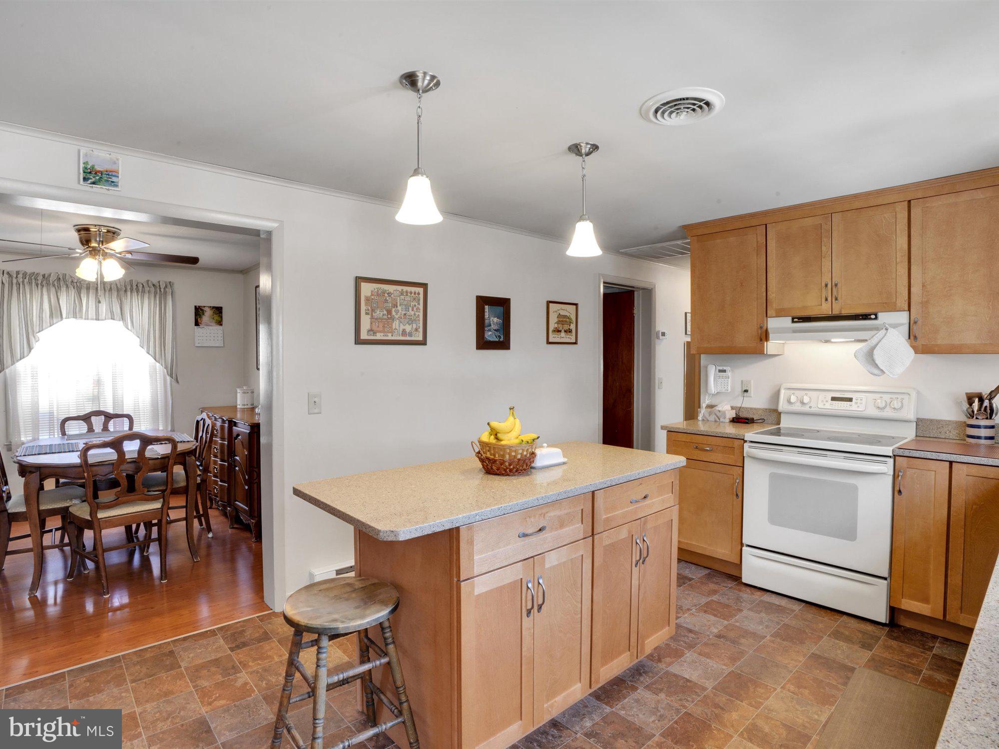 245 Rapho Street Manheim, PA 17545 - Photo 11 of 32 Gallery Image 11