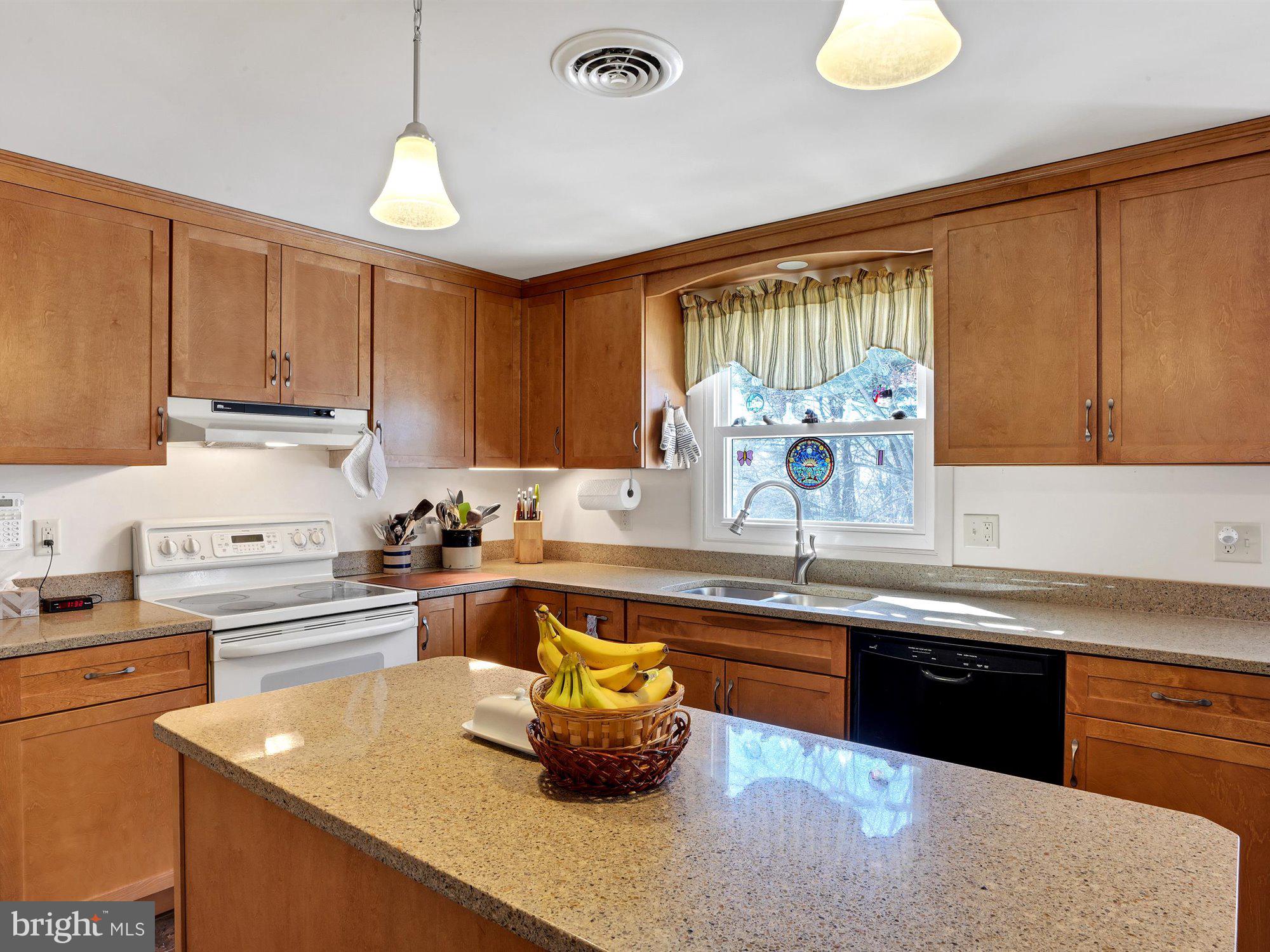 245 Rapho Street Manheim, PA 17545 - Photo 8 of 32 Gallery Image 8