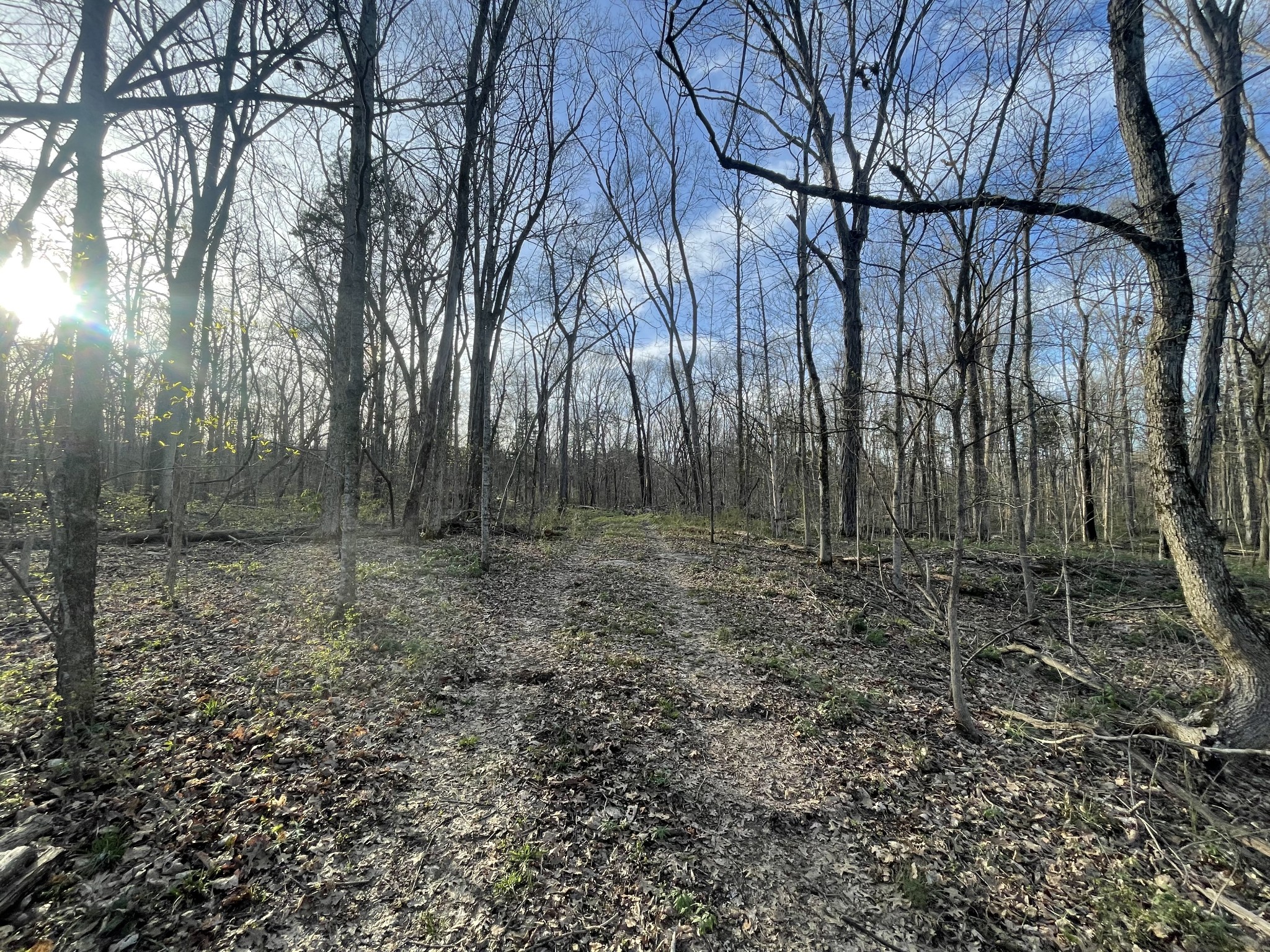 9290 Christiana Fosterville Road Christiana, TN 37037 - Photo 2 of 6