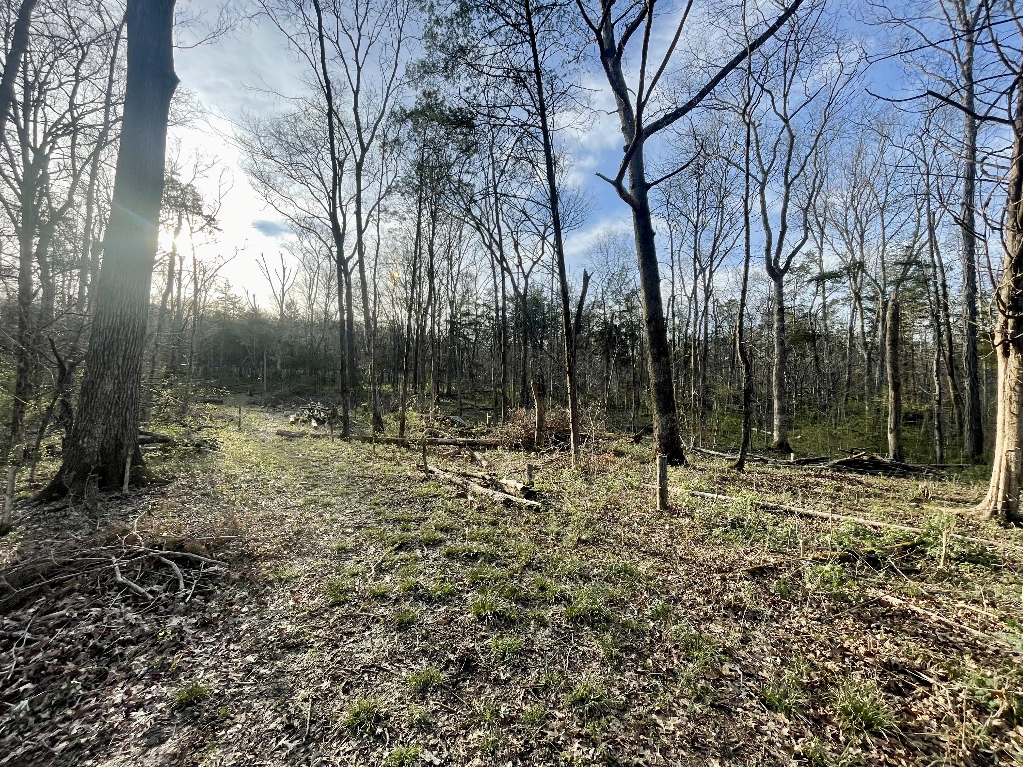 9290 Christiana Fosterville Road Christiana, TN 37037 - Photo 3 of 6