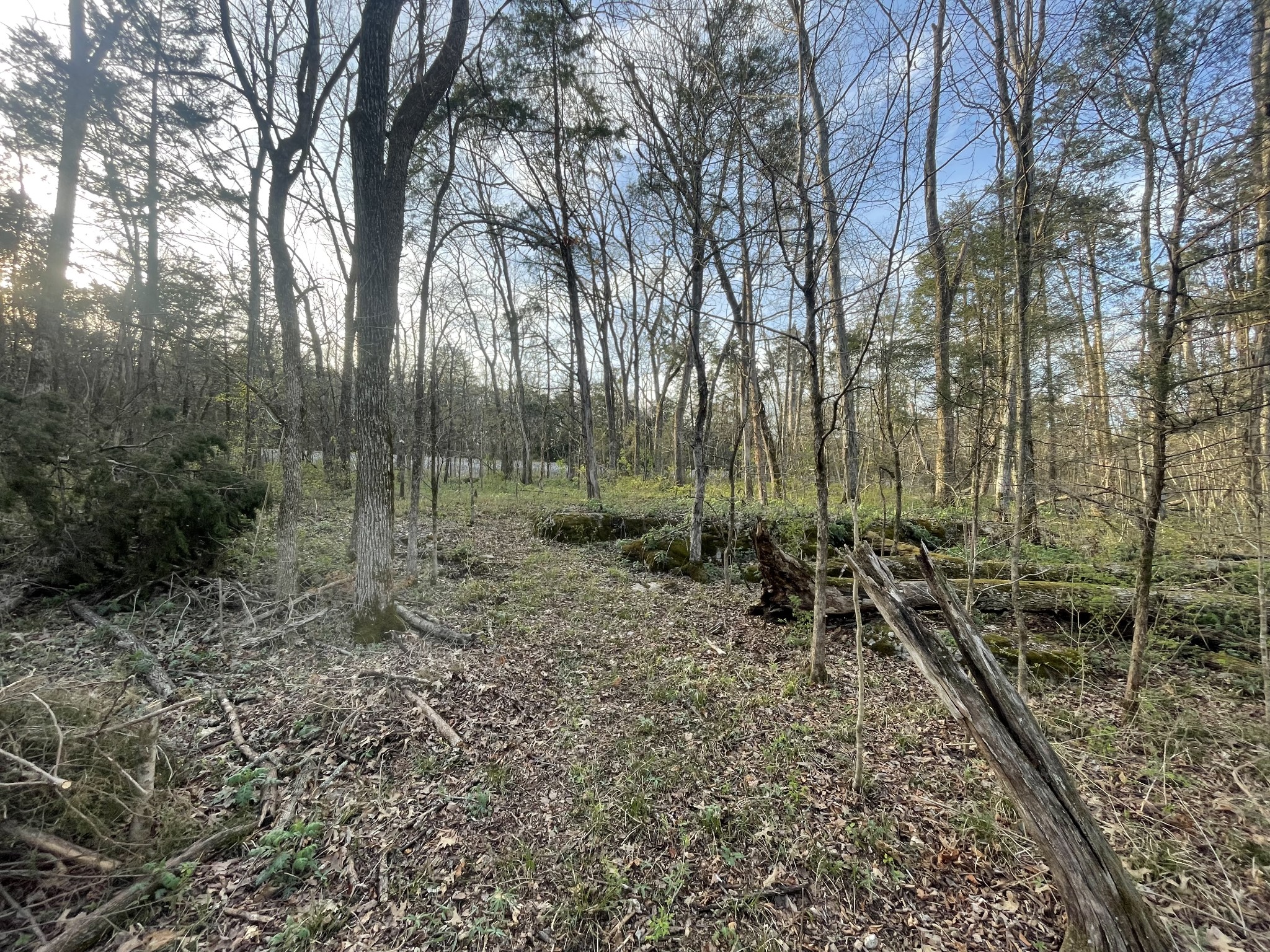 9290 Christiana Fosterville Road Christiana, TN 37037 - Photo 5 of 6
