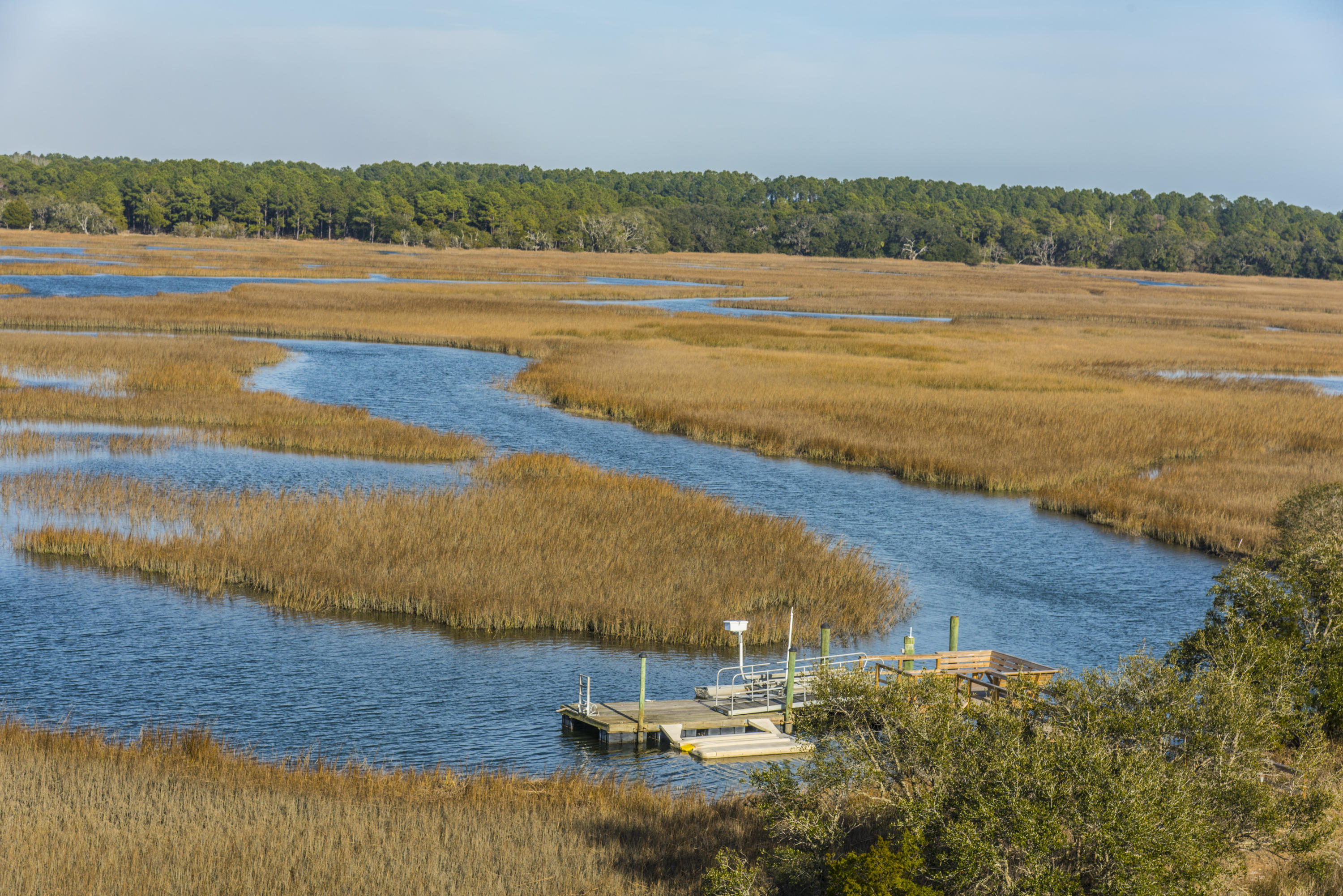 7845 Brick House Road Edisto Island, SC 29438 - Photo 11 of 69 7845 Brickhouse (10)
