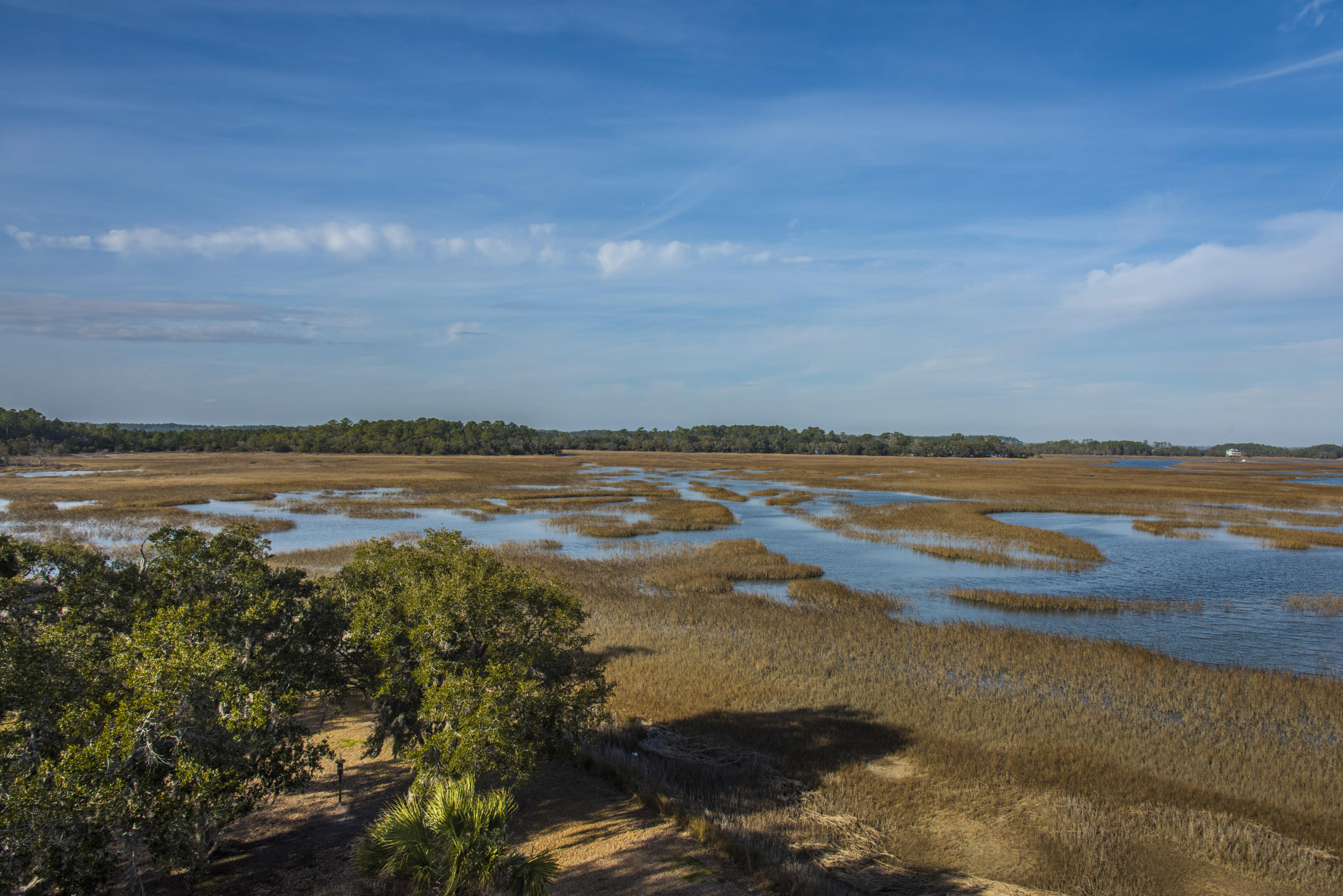 7845 Brick House Road Edisto Island, SC 29438 - Photo 38 of 69 7845 Brickhouse (11)