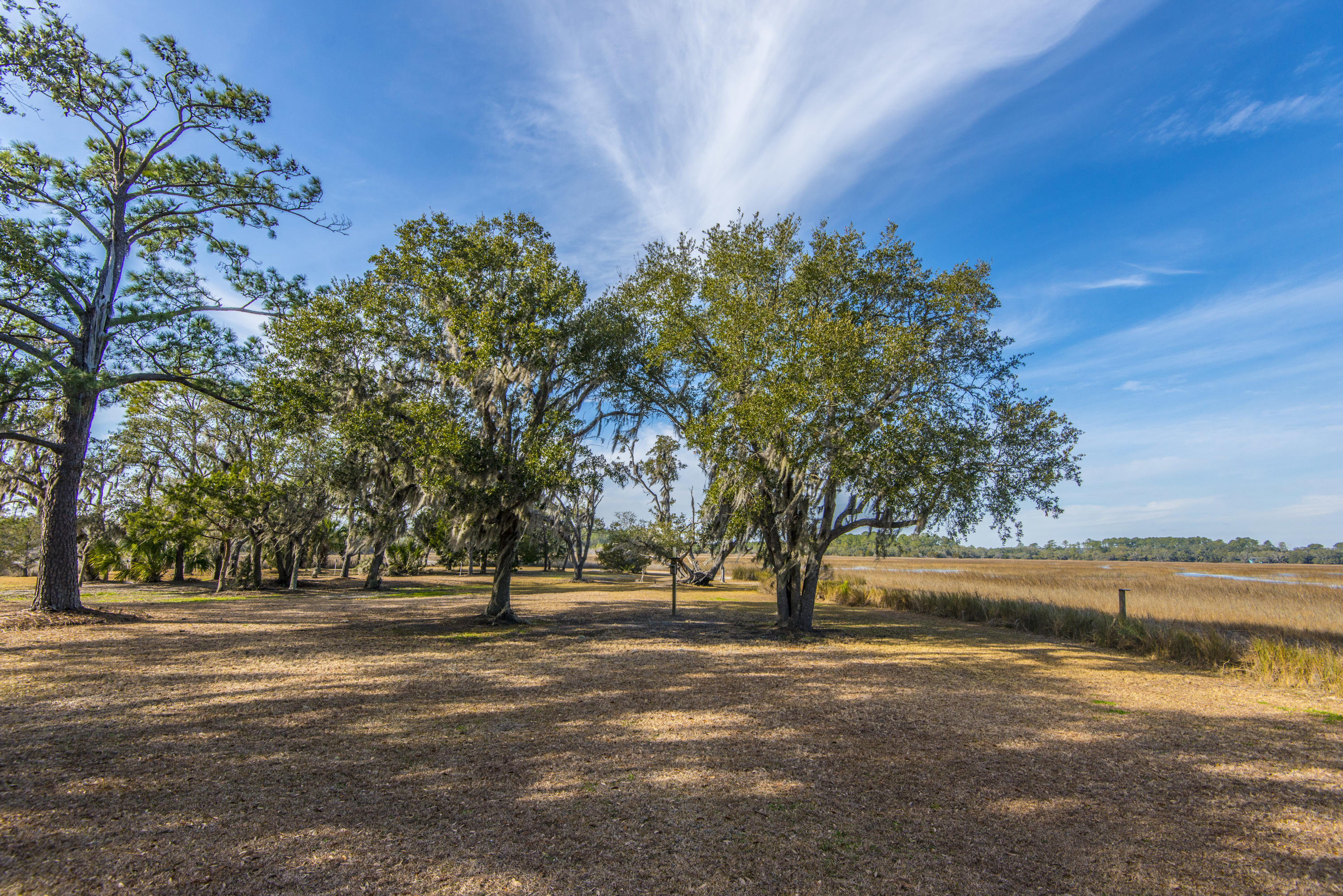 7845 Brick House Road Edisto Island, SC 29438 - Photo 50 of 69 7845 Brickhouse (35)