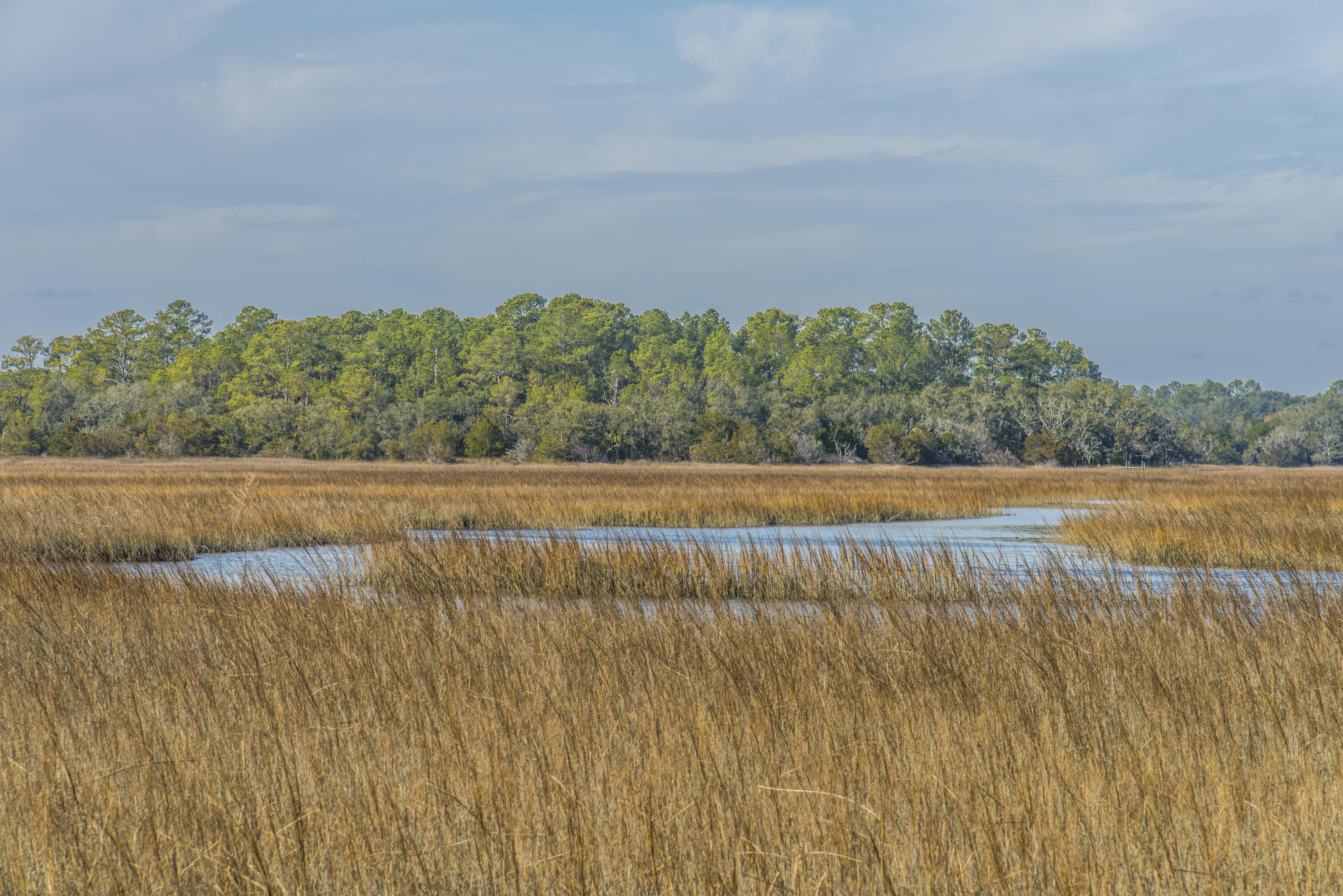 7845 Brick House Road Edisto Island, SC 29438 - Photo 6 of 69 7845 Brickhouse (7)