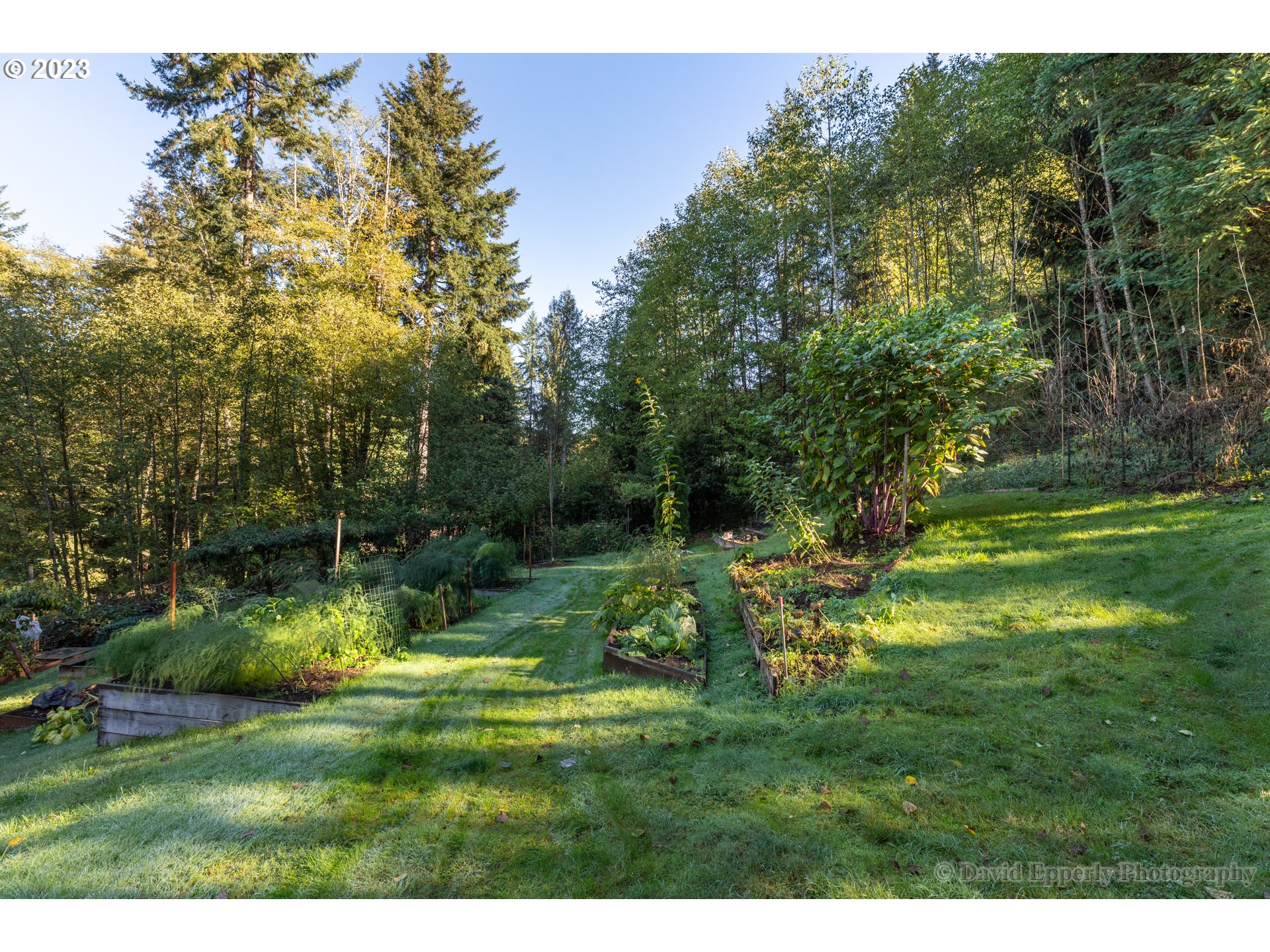 70740 Fern Hill Road Rainier, OR 97048 - Photo 7 of 13