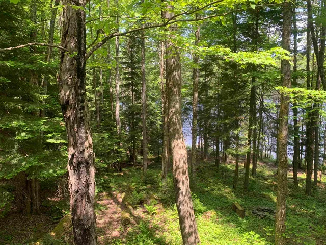 $179,000 | 505 River Road, Pittsburg, NH 03592