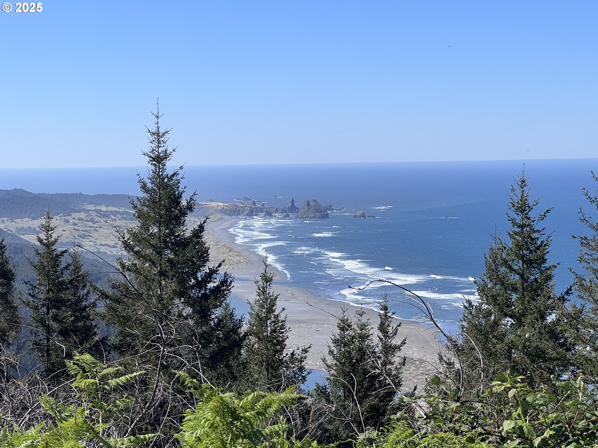 25500 Cape View Loop Gold Beach, OR 97444 - Photo 5 of 48 Proposed Home
