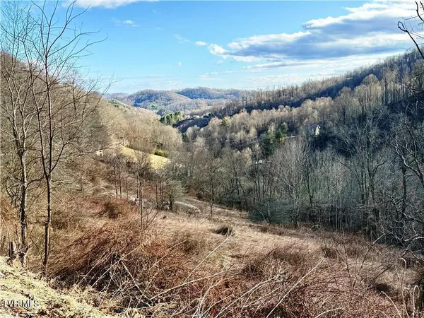$69,900 | Tbd Willard Johnson Road, Vilas, NC 28692