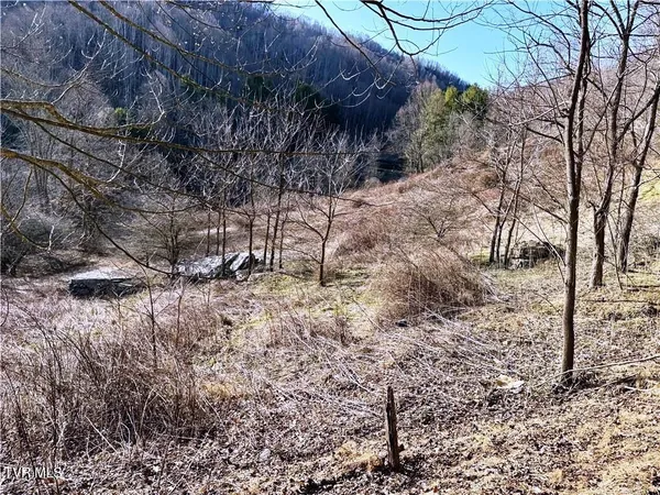$69,900 | Tbd Willard Johnson Road, Vilas, NC 28692