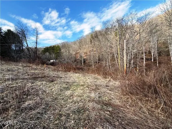 $69,900 | Tbd Willard Johnson Road, Vilas, NC 28692