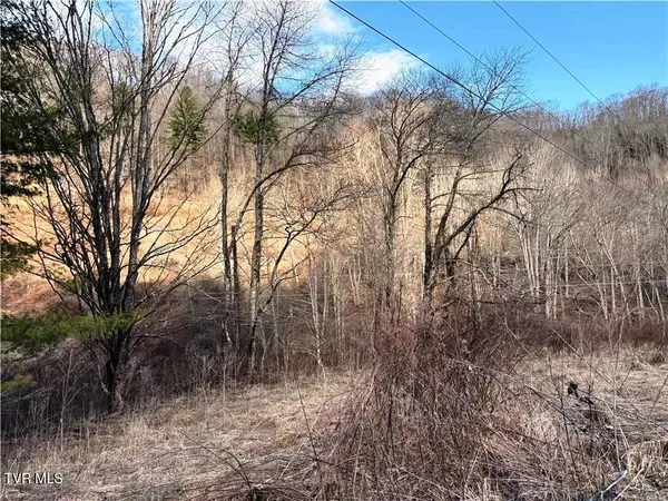 $69,900 | Tbd Willard Johnson Road, Vilas, NC 28692