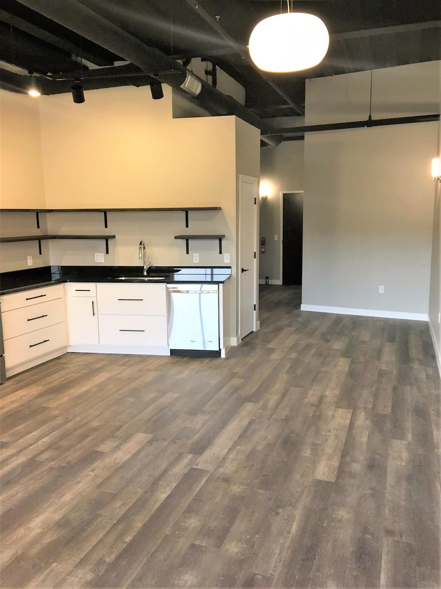 157 South Kalamazoo Mall, Unit 403 Kalamazoo, MI 49007 - Photo 5 of 10 MP 403 (5)