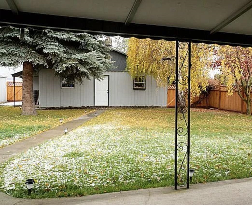 5214 North Belt Street Spokane, WA 99205 - Photo 15 of 18