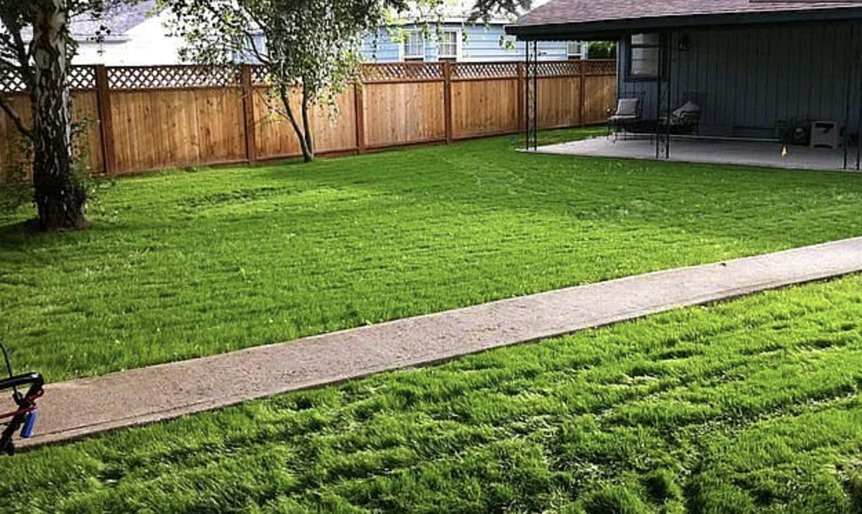 5214 North Belt Street Spokane, WA 99205 - Photo 16 of 18