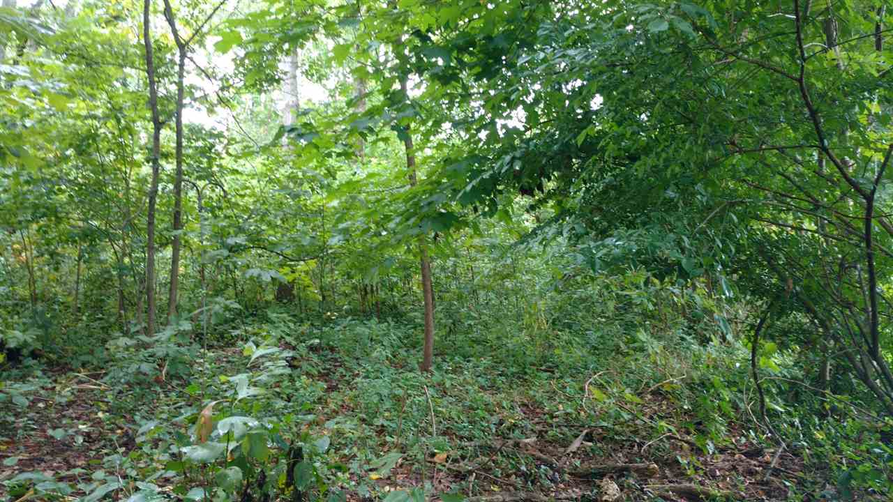 575 East Rhorer Road Bloomington, IN 47401 - Photo 3 of 4