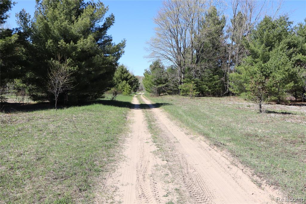 5575 East 26 Mile Road Pickford, MI 49774 - Photo 8 of 36