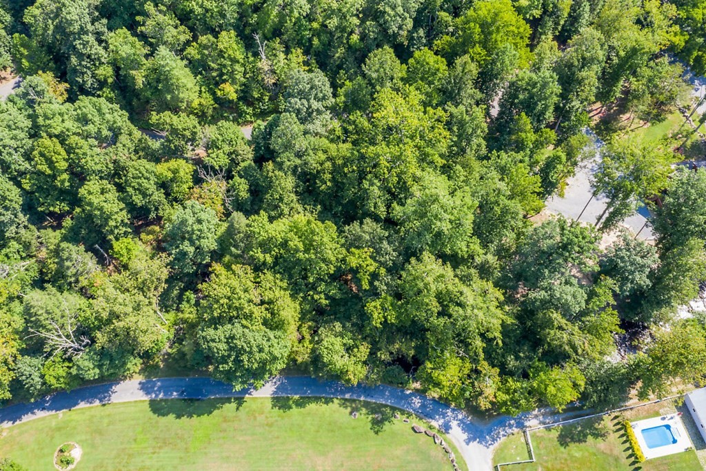 0 Sonshine Ridge Cosby, TN 37722 - Photo 20 of 29 a view of a garden