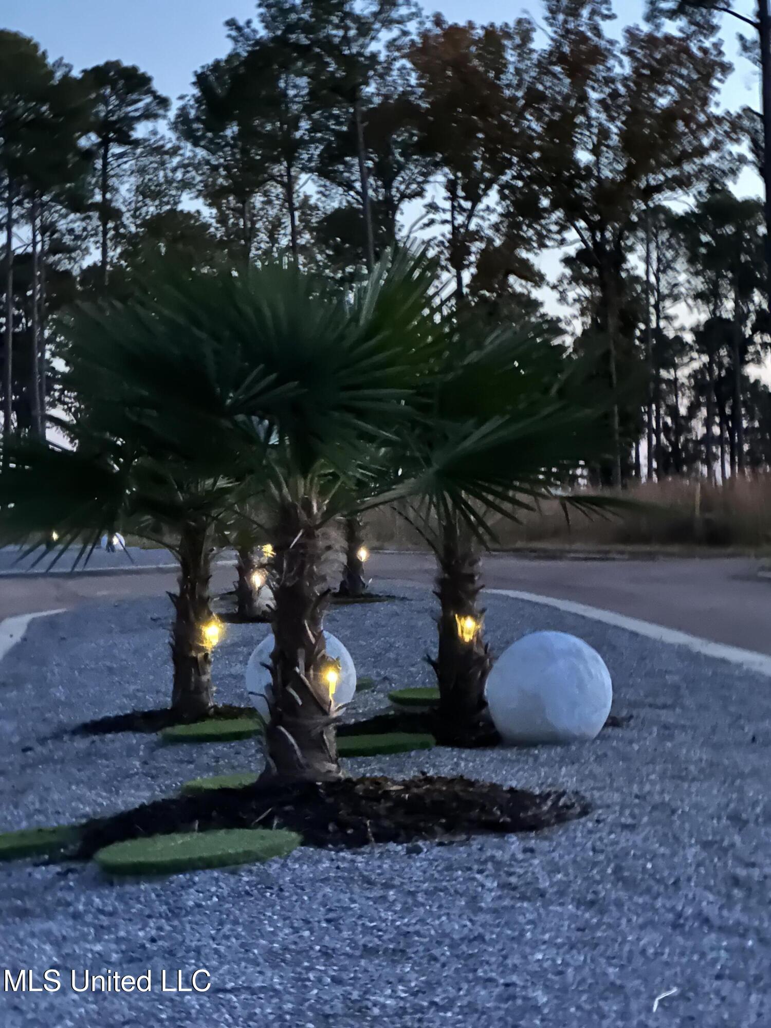 107 Venus Drive Canton, MS 39046 - Photo 7 of 10 Expedition Point Palm Evening View