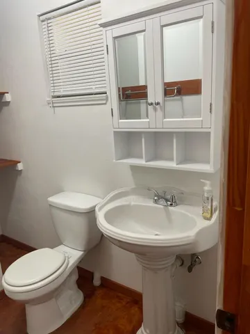 a bathroom with a sink and a toilet