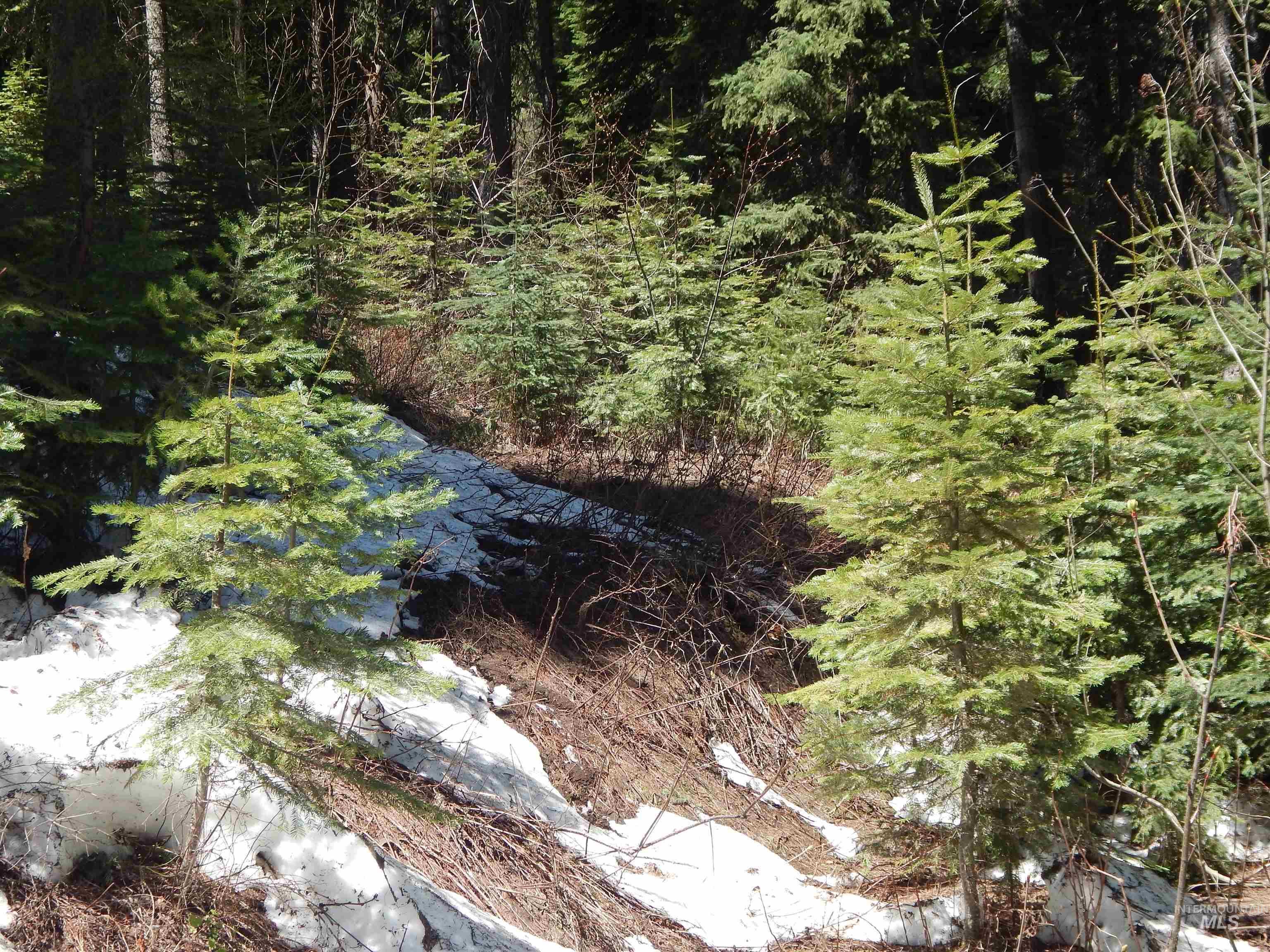 1601 Bear Trail Loop Cascade, ID 83611 - Photo 9 of 26