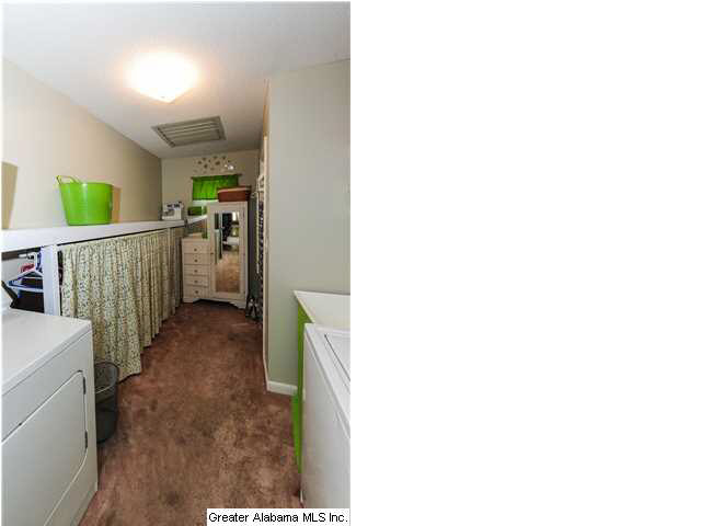 378 Shadow Stone Lane Oneonta, AL 35121 - Photo 11 of 22