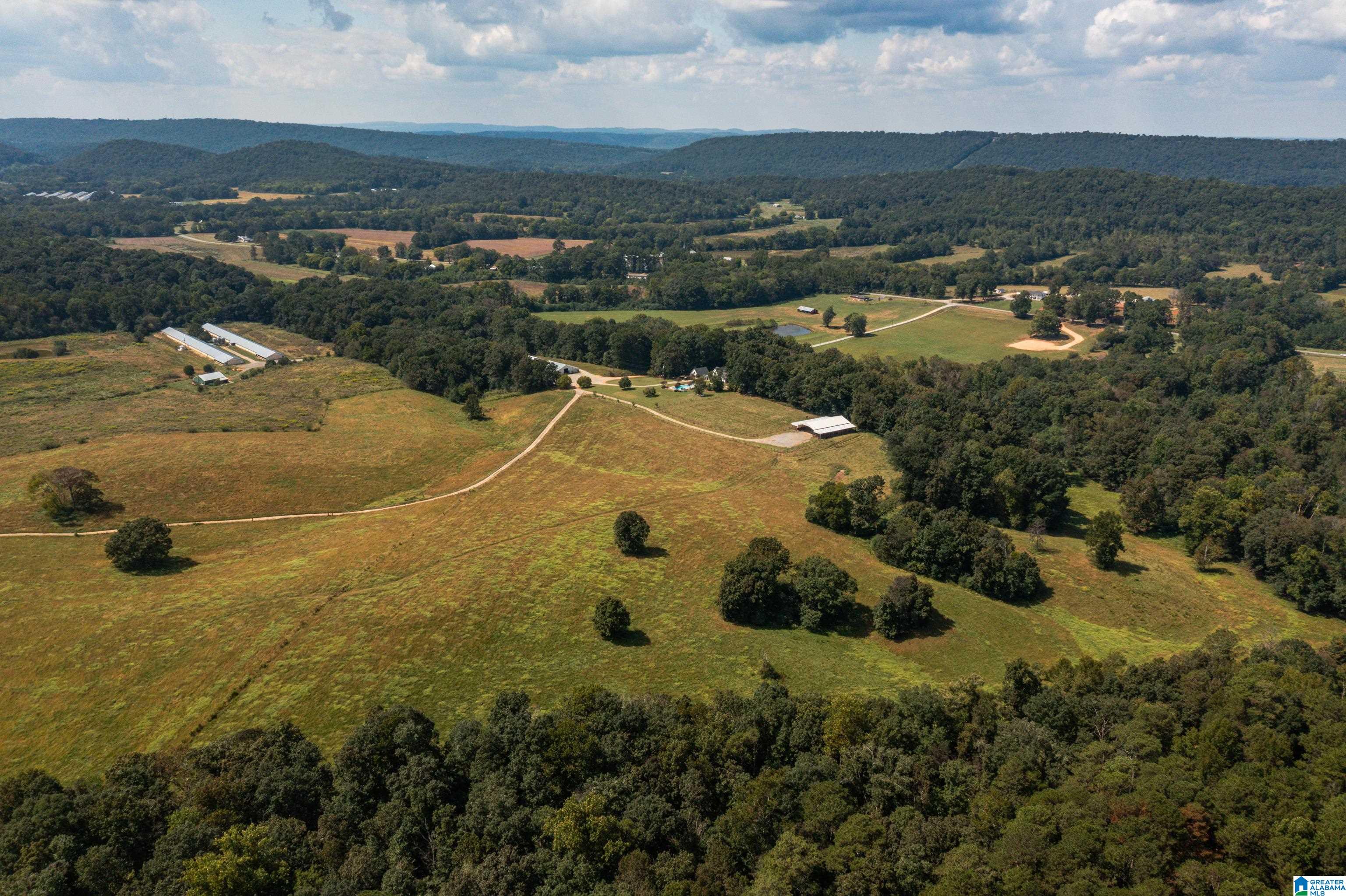 3124 County Road 39 Oneonta, AL 35121 - Photo 95 of 98