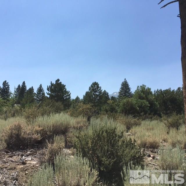 5715 Nordend Way, Unit 1008 Reno, NV 89511 - Photo 3 of 6 Photo 3