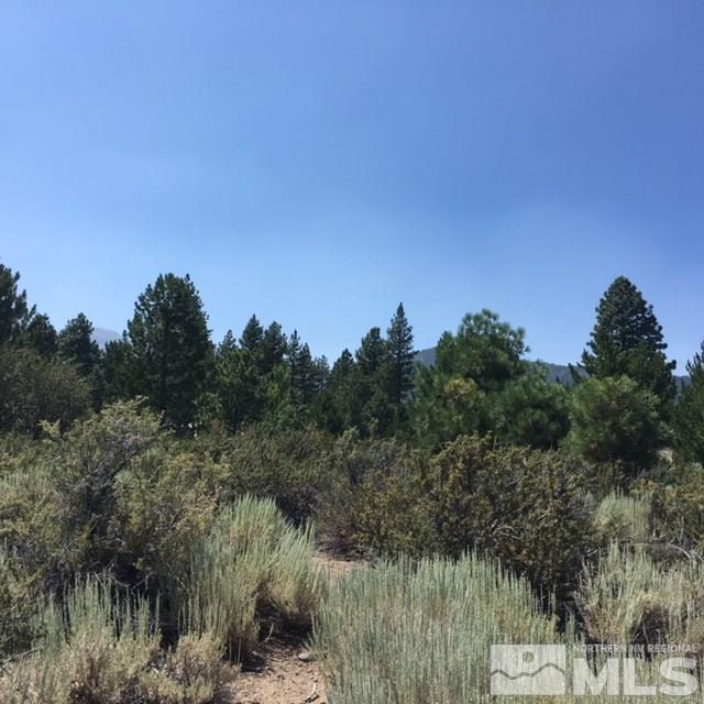 5715 Nordend Way, Unit 1008 Reno, NV 89511 - Photo 5 of 6 Photo 5