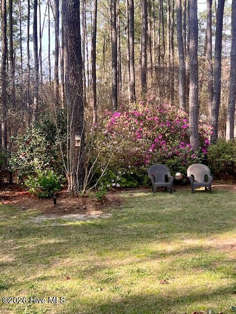 12581 Barnes Bridge Road Laurinburg, NC 28352 - Photo 37 of 52 image15