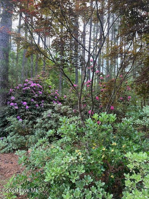 12581 Barnes Bridge Road Laurinburg, NC 28352 - Photo 39 of 52 image19_1