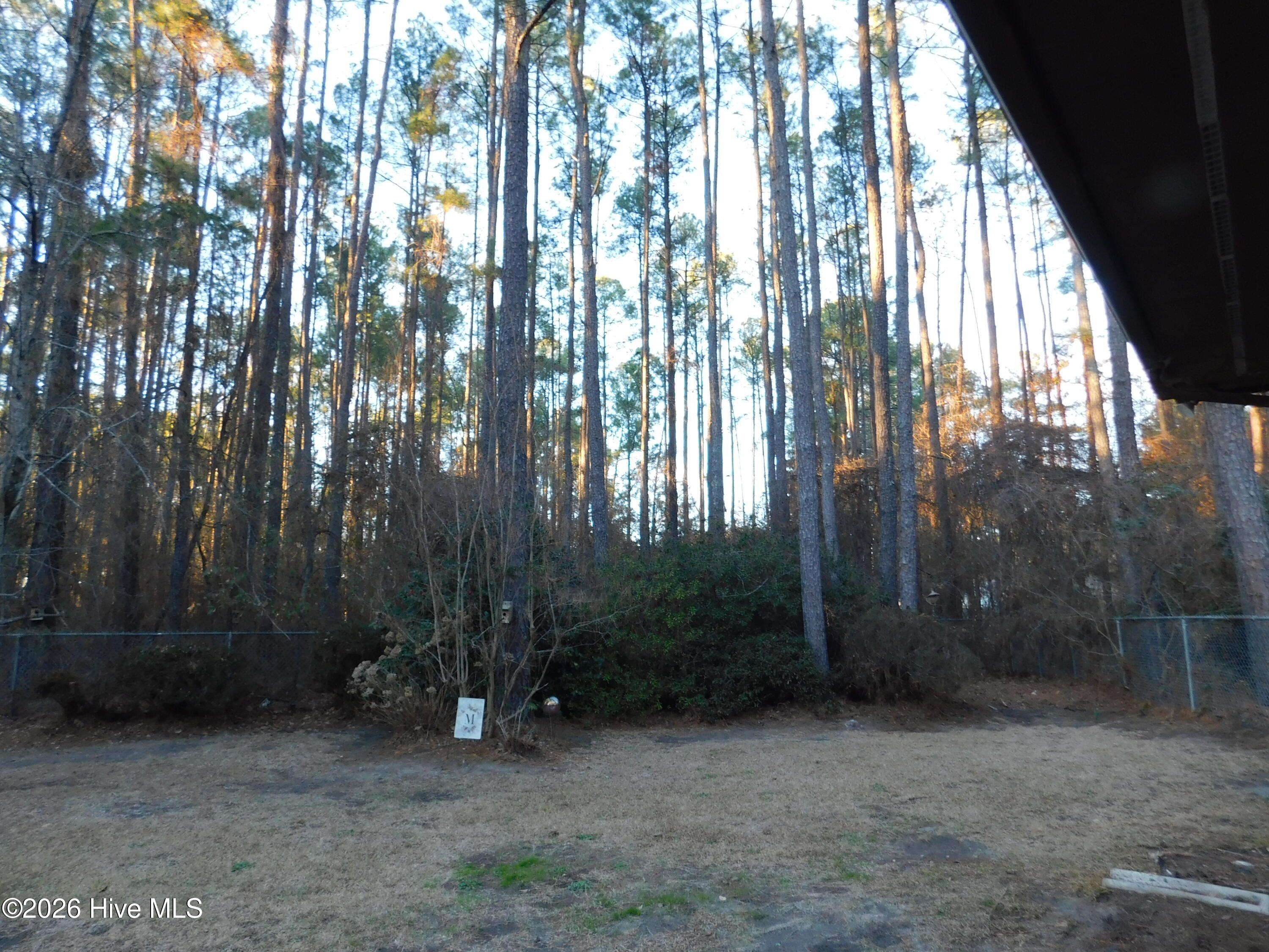 12581 Barnes Bridge Road Laurinburg, NC 28352 - Photo 49 of 52 DSCN7587